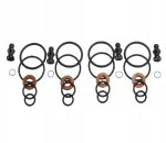 Fuel gaskets Fuel gaskets